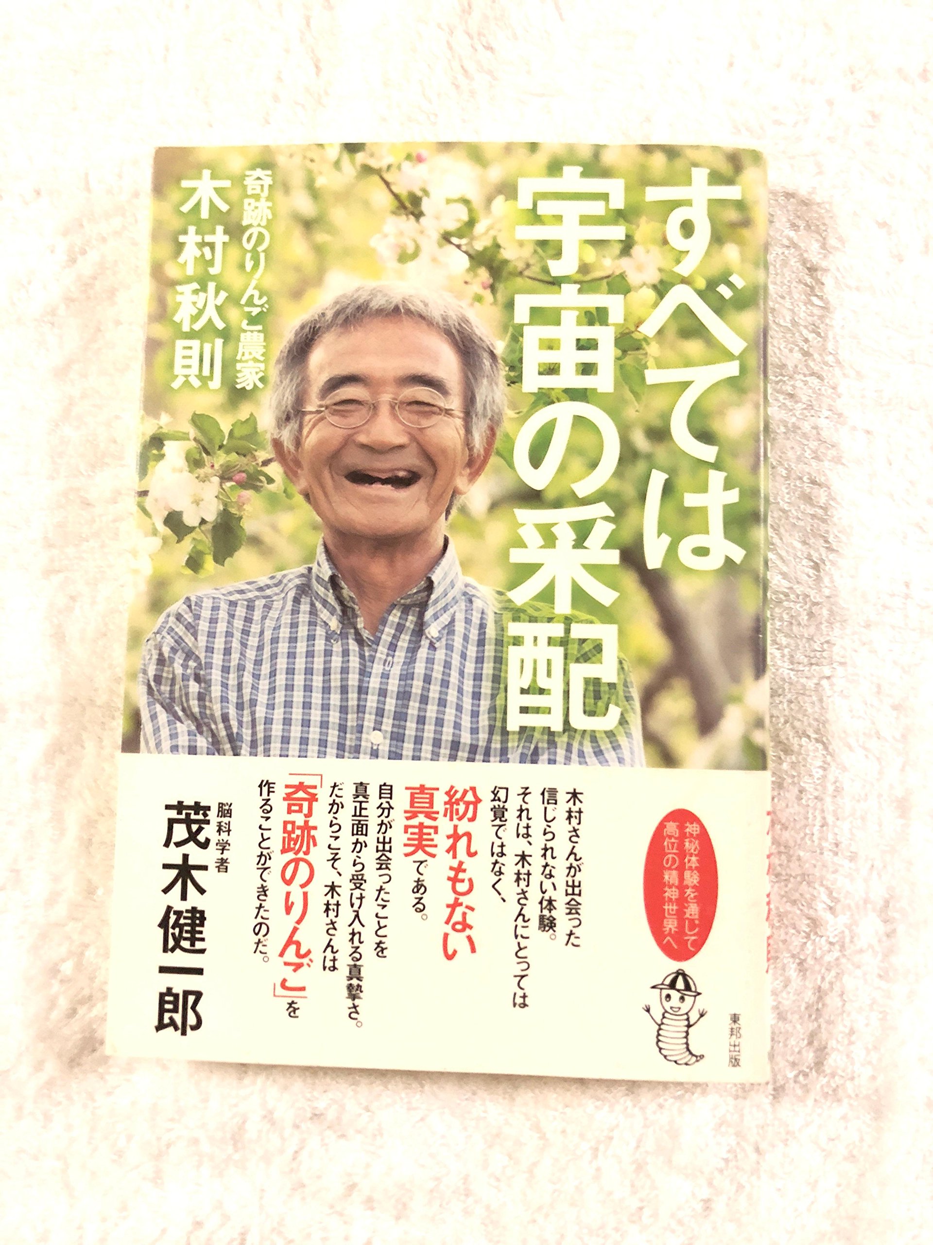 木村二朗「無題」10号油彩,悟り,真理,宇宙全体の球体,妙珠在掌,木村の芯 91nJZh+aTKL.jpg